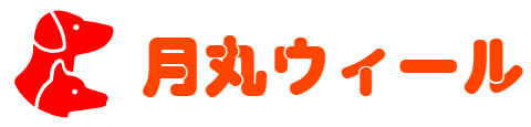 月丸ウィール（犬用車椅子のオーダーメイド）